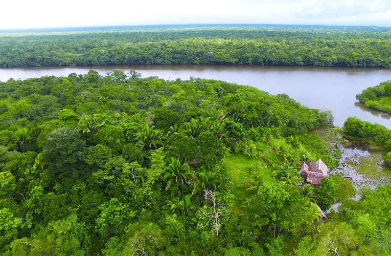 Planter un arbre au Guatemala